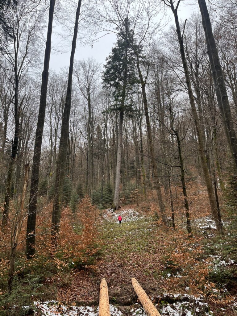 580042128 1266413025515576 4765862438181203483 n