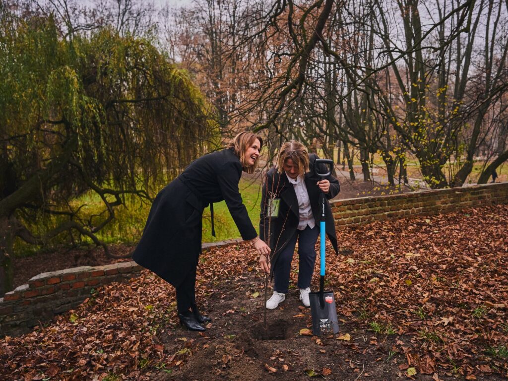 581010767 1417390713727861 666331793434977303 n 581010767 1417390713727861 666331793434977303 n