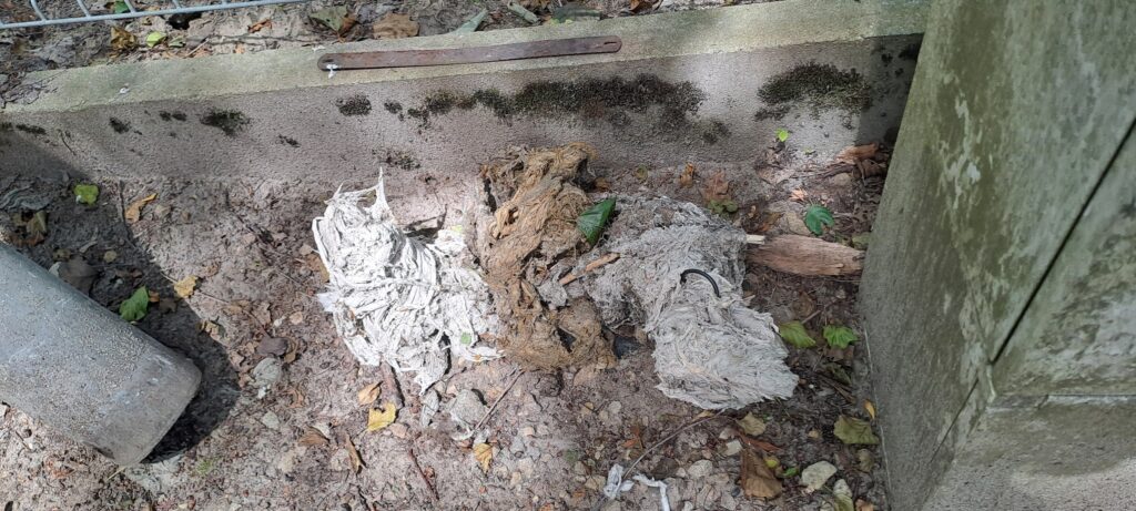 581099557 122225266616093749 7575024155571231281 n