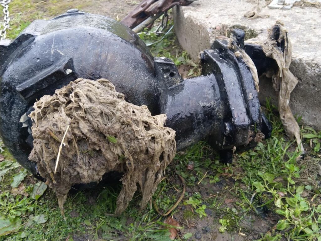 581232080 122225265896093749 4007244848711368523 n1