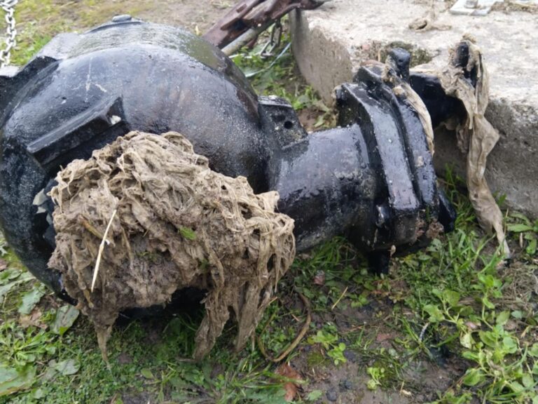 581232080 122225265896093749 4007244848711368523 n1