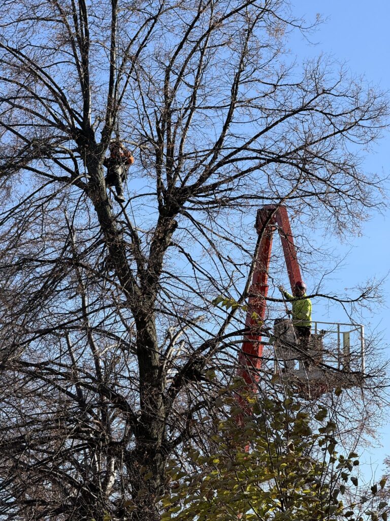 581421104 1293001699537329 1841753323991332649 n