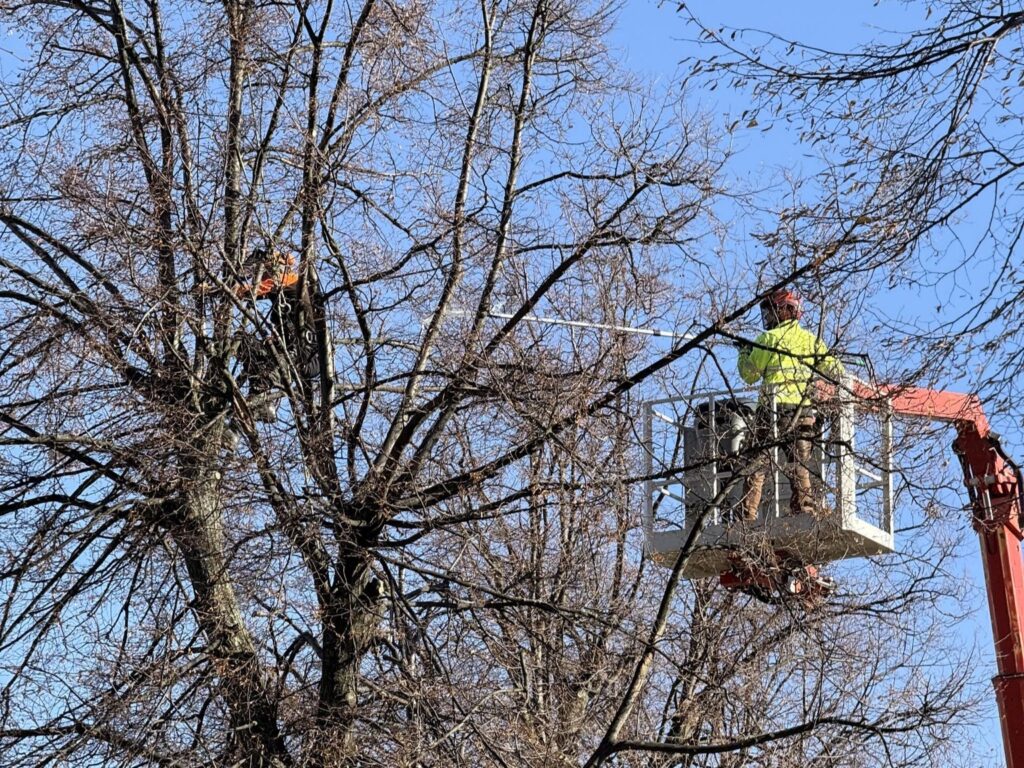 581619514 1293001736203992 1159382632257067666 n