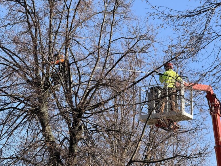 581619514 1293001736203992 1159382632257067666 n