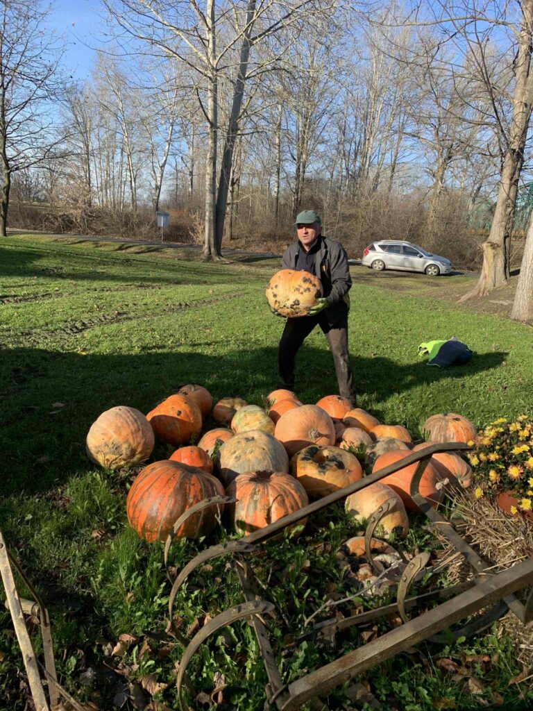 581677611 122269666358219523 2249621852260555099 n