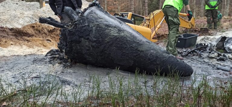 581712804 122163340190423899 129207717493564448 n