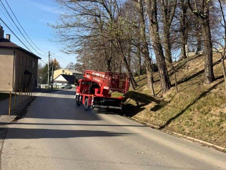 581809050 1247718207392588 6080031313231426532 1n