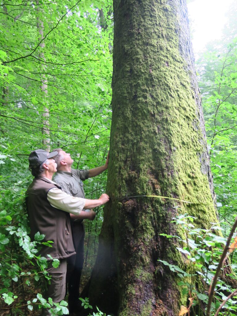 581820161 1266412948848917 4428815152796868539 n