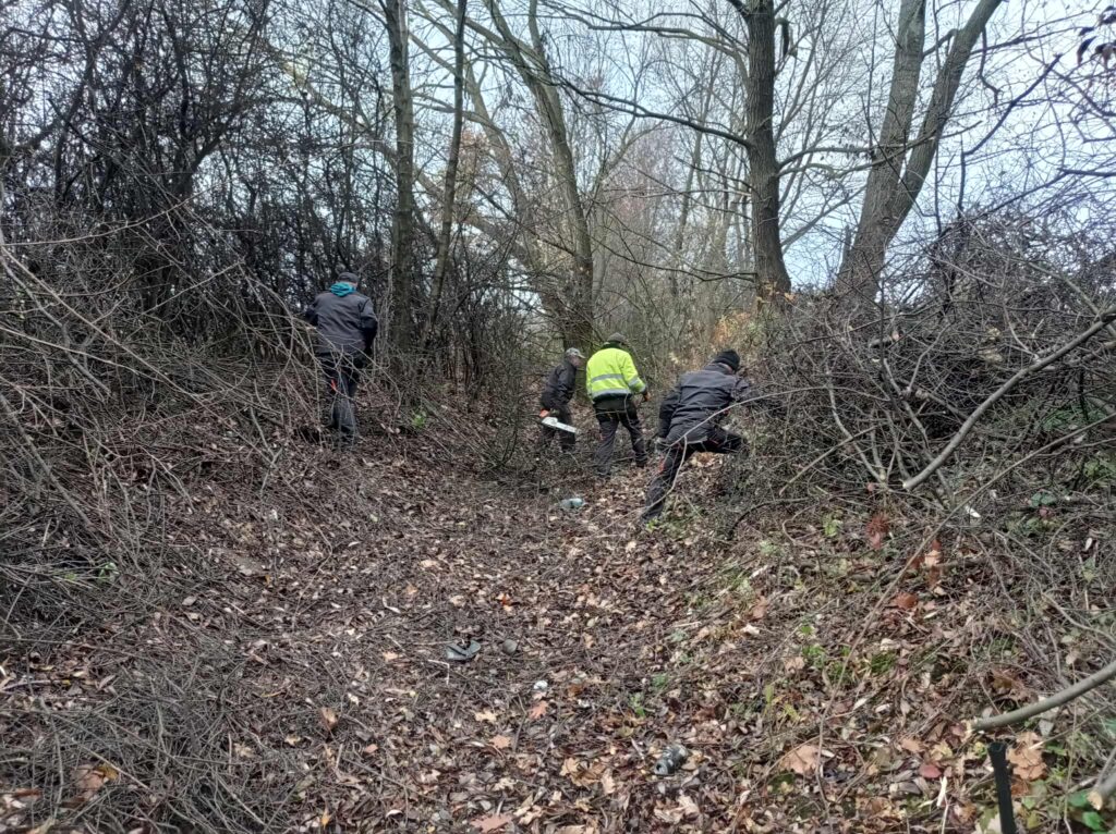 581914821 122146818614943867 8725152586125172988 n