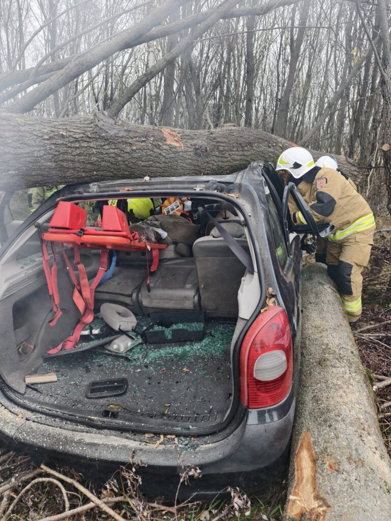 581991167 1147280994225738 4403223079076277044 n