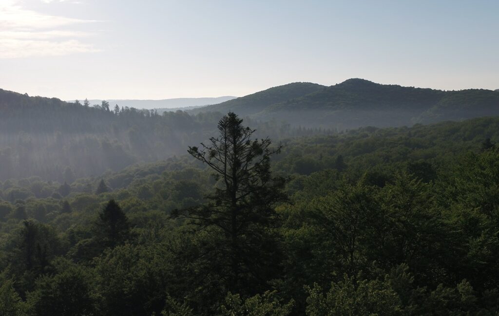 582232963 1266412912182254 7149244697613303545 n