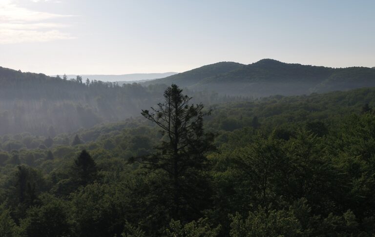 582232963 1266412912182254 7149244697613303545 n