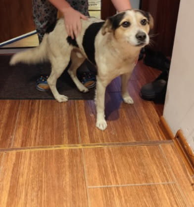 582863122 1295647712606061 4784881470853110964 n