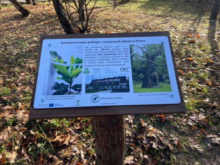 583125982 1155223846789003 8788355166753875759 n