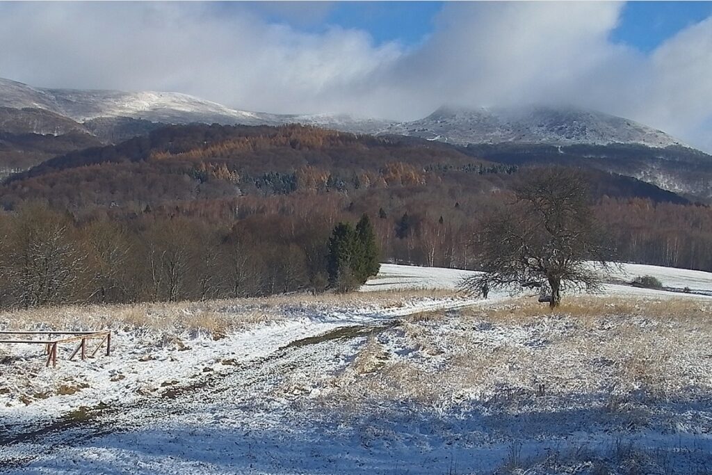 583734728 1271173668381523 4505803415793986764 n