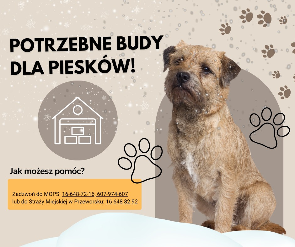 584099272 1438746171629932 2040157485117720898 n