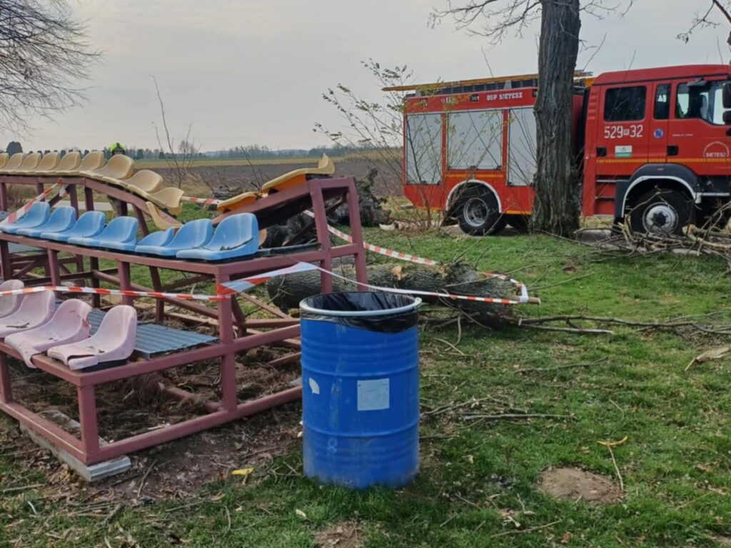 584312395 1157849206461984 3291446516444002294 n1