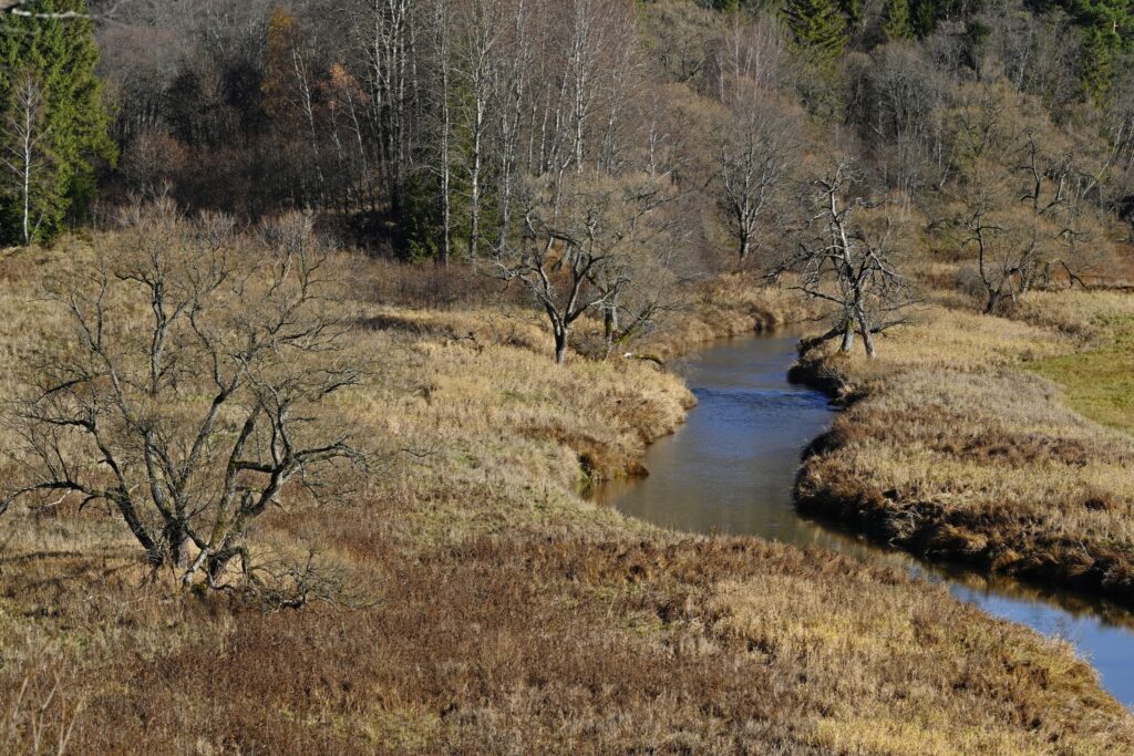 584345170 1269553645210192 4439456035706723494 n