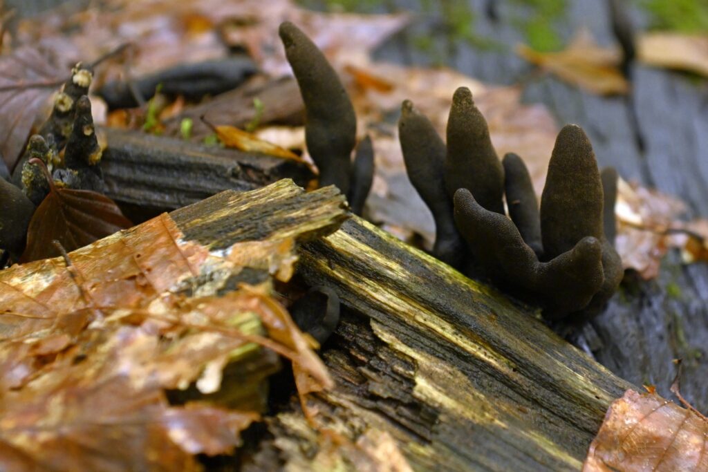 584522948 1270772011755022 5683888610501312940 n