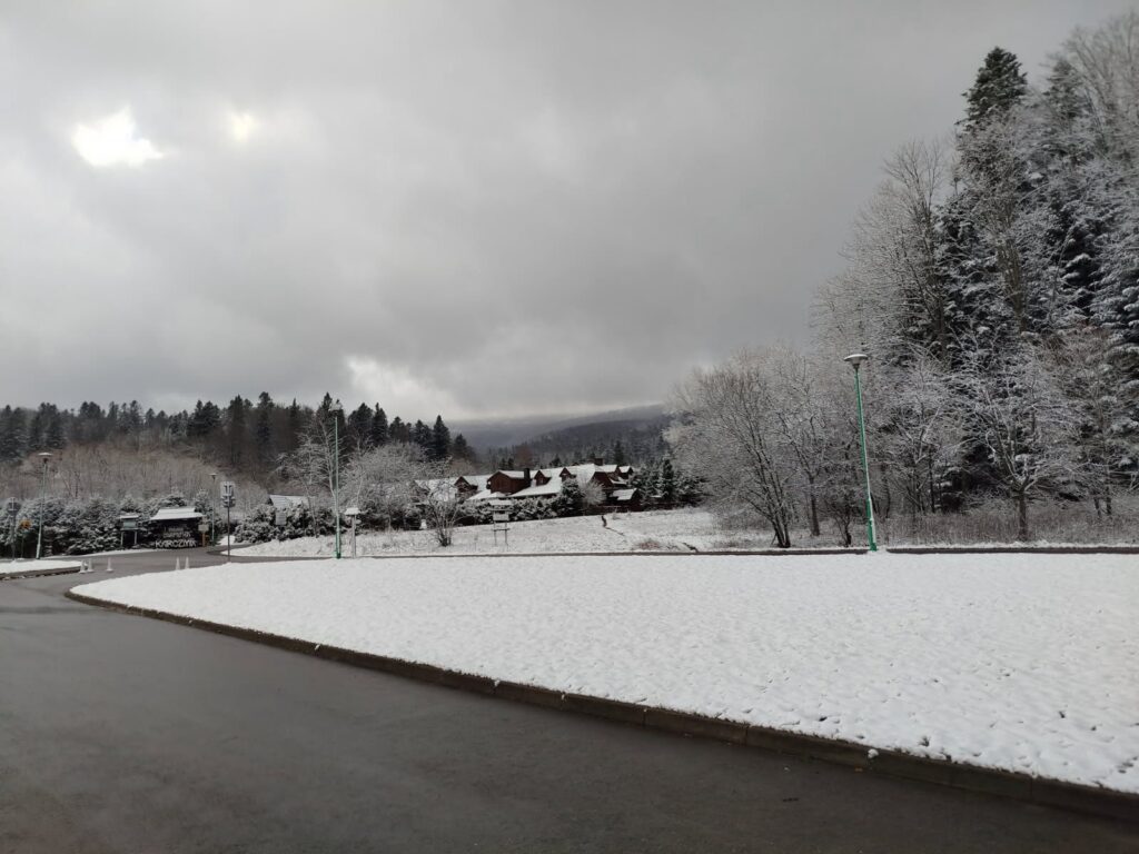 585238848 1270146915142187 4530669543005805147 n