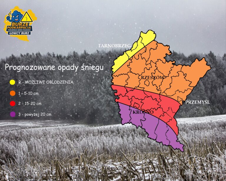 585400949 1550627663175268 8112291934867969414 n