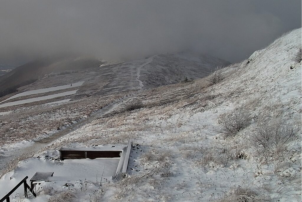 585405763 1271173711714852 3908182255723244688 n