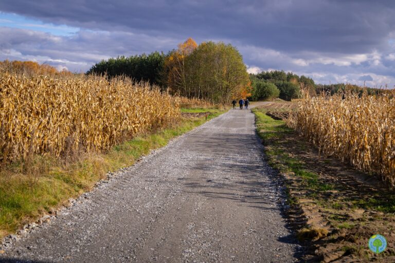 585411661 1149674200680674 7638552286158221530 n