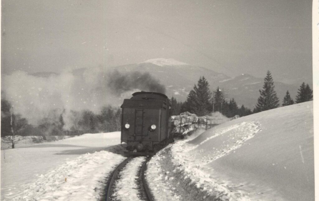 585518001 1272436924913186 8896801466262606170 n