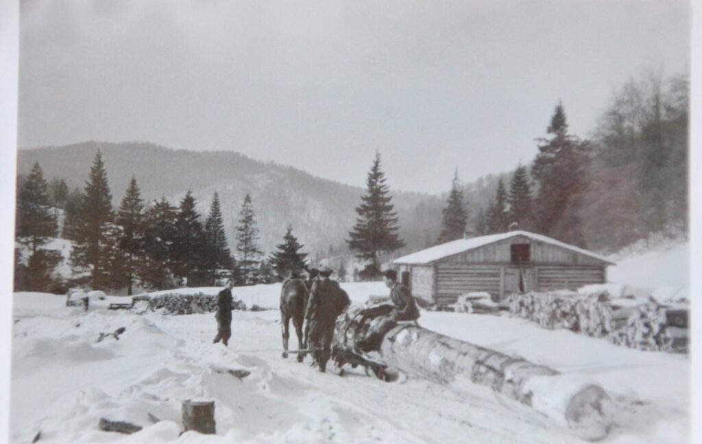 585597377 1272437008246511 7936791815180370041 n