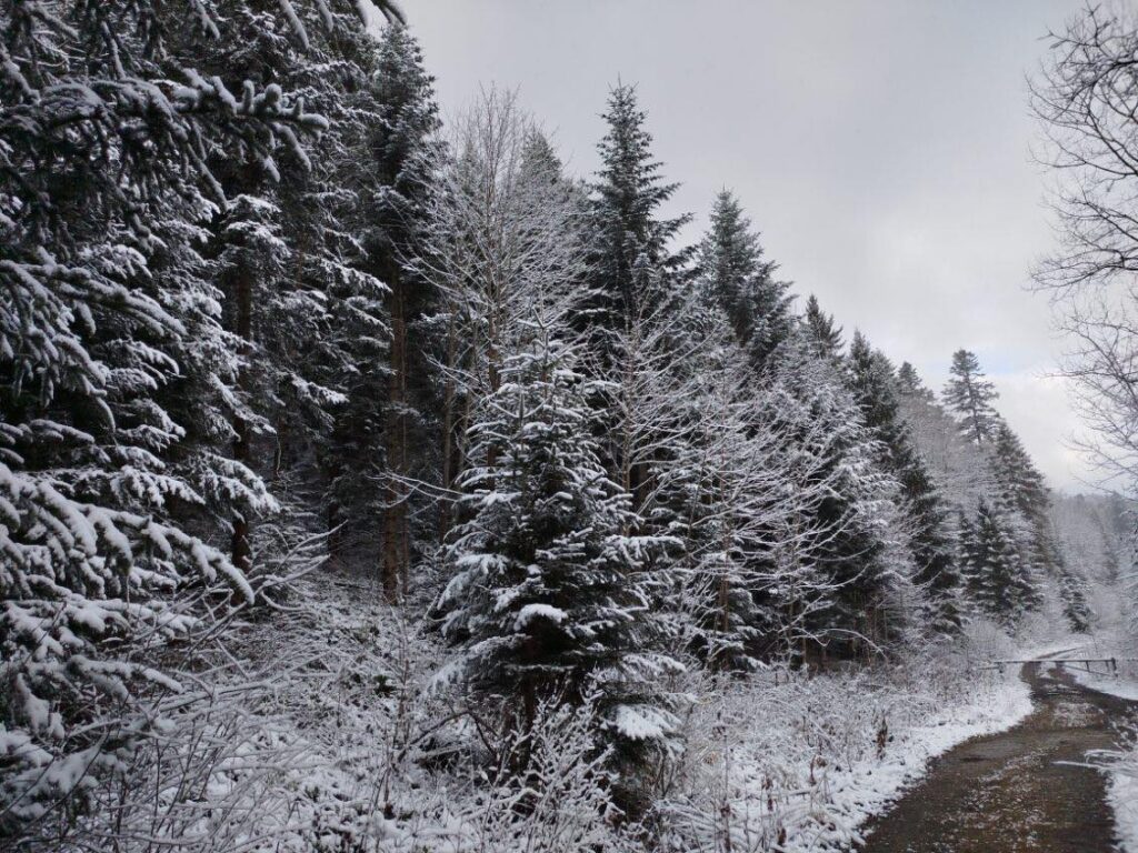 585706011 1270147521808793 3406775614485599755 n