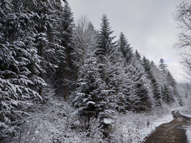 585706011 1270147521808793 3406775614485599755 n