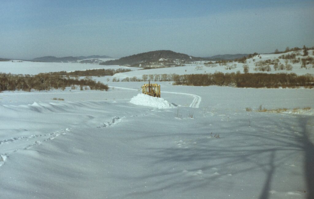 586023619 1272437161579829 2018845254166202867 n