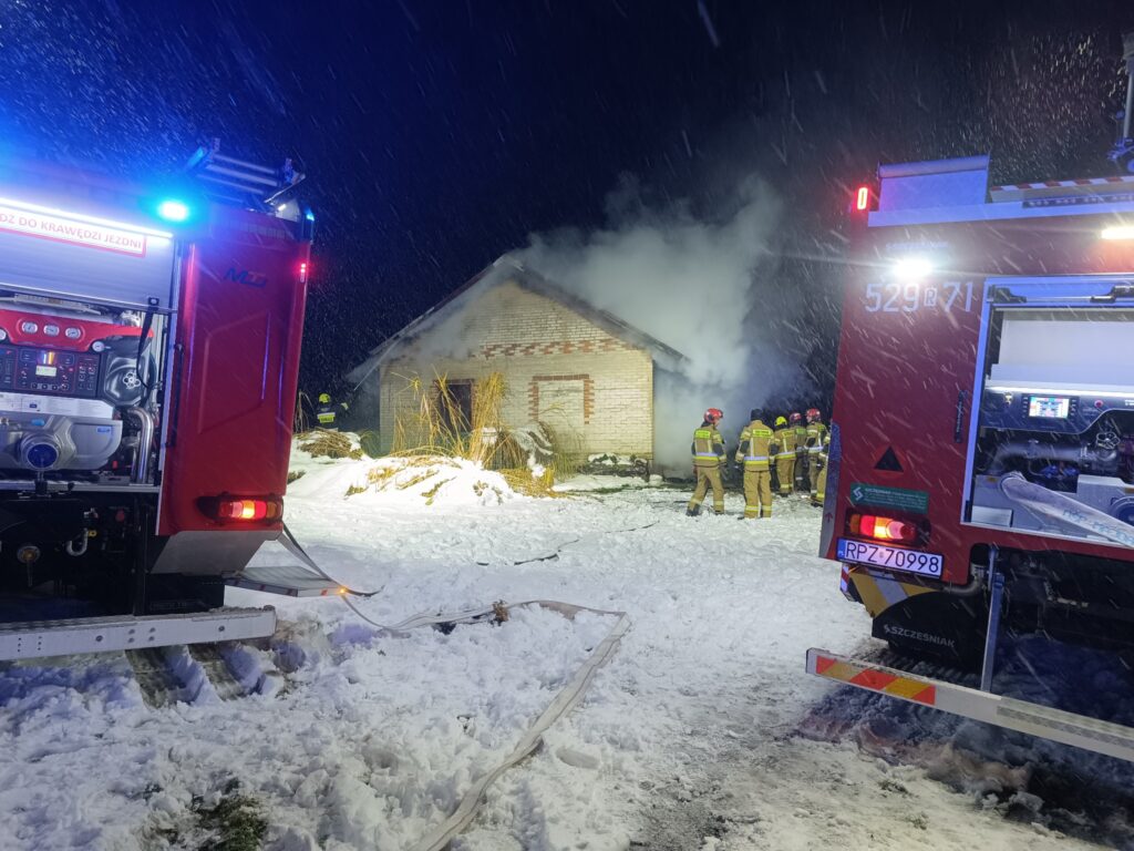 586046526 1315861123917749 1026333462824071814 n