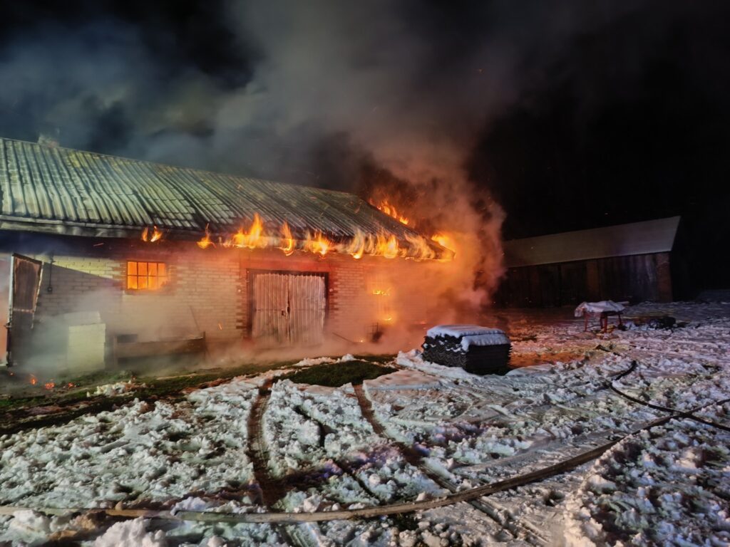 586138818 1315861030584425 6209753148253106308 n