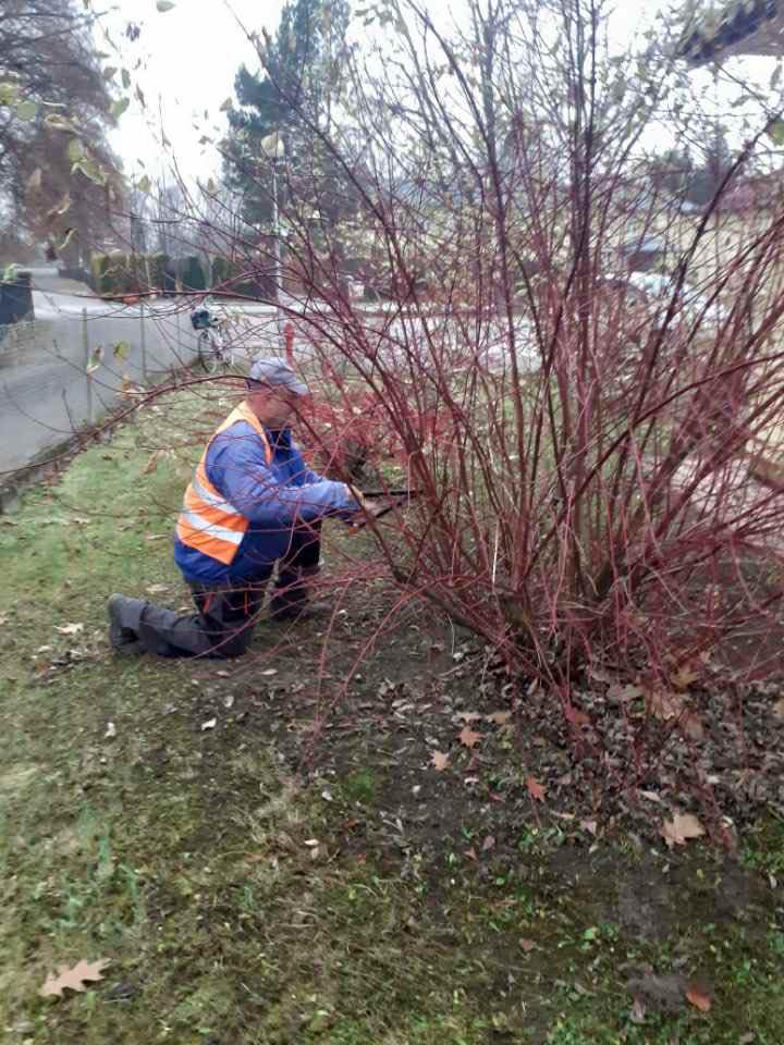 586209086 122270855702219523 226763843601767987 n