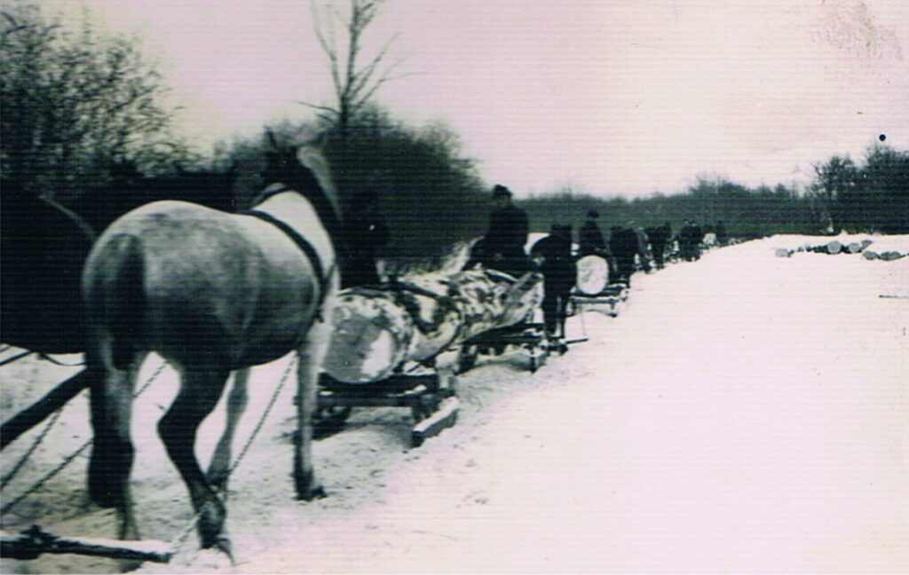 586292532 1272436991579846 2149511154013429913 n