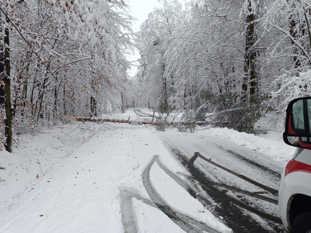 586372126 1315913720579156 4425748997282298269 n