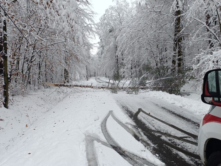 586372126 1315913720579156 4425748997282298269 n