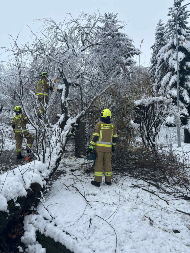 586608839 853222150688601 5359696110862117609 n