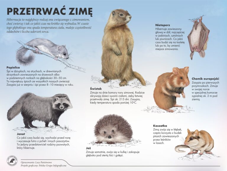 586715896 1276349287855283 3469786085415379592 n