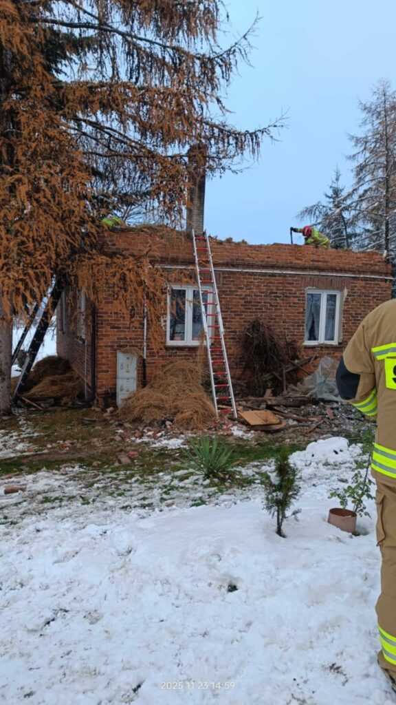 587054035 1273391901496959 4561542888466111311 n