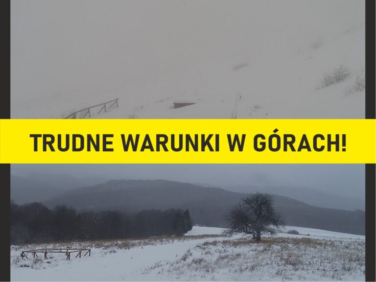 587734357 1274410378057852 1809654301306298830 n1