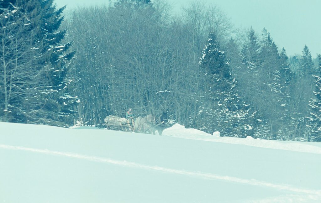 587891181 1272437661579779 4879536739653728476 n