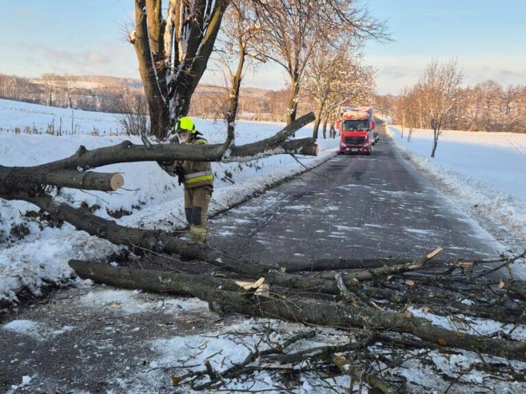 588165327 1162208669359371 6615687461047799332 n