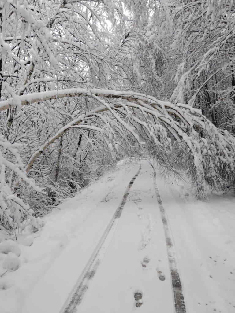 588237157 122195676878310265 1720917749447578475 n