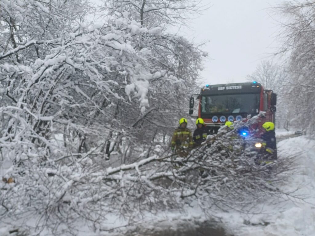 588377115 1161319406114964 7280151579741320400 n