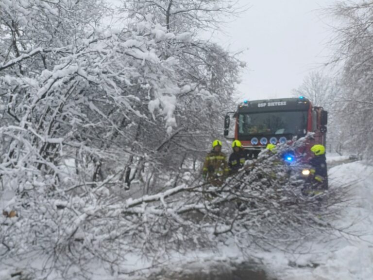 588377115 1161319406114964 7280151579741320400 n