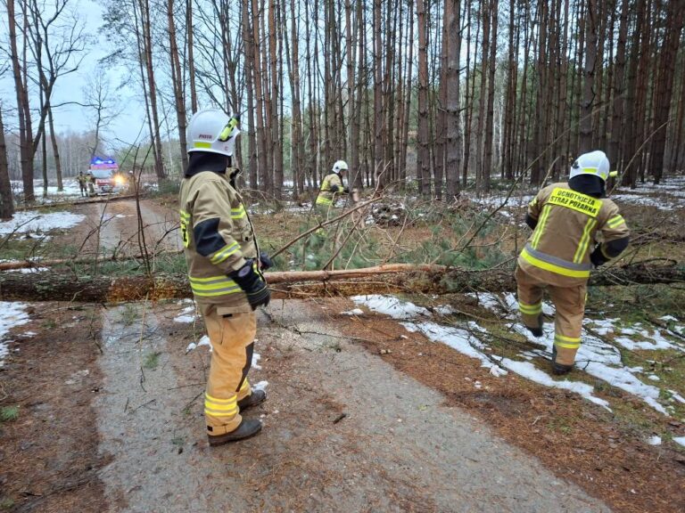 588382365 831661552905290 2627968956234506763 n