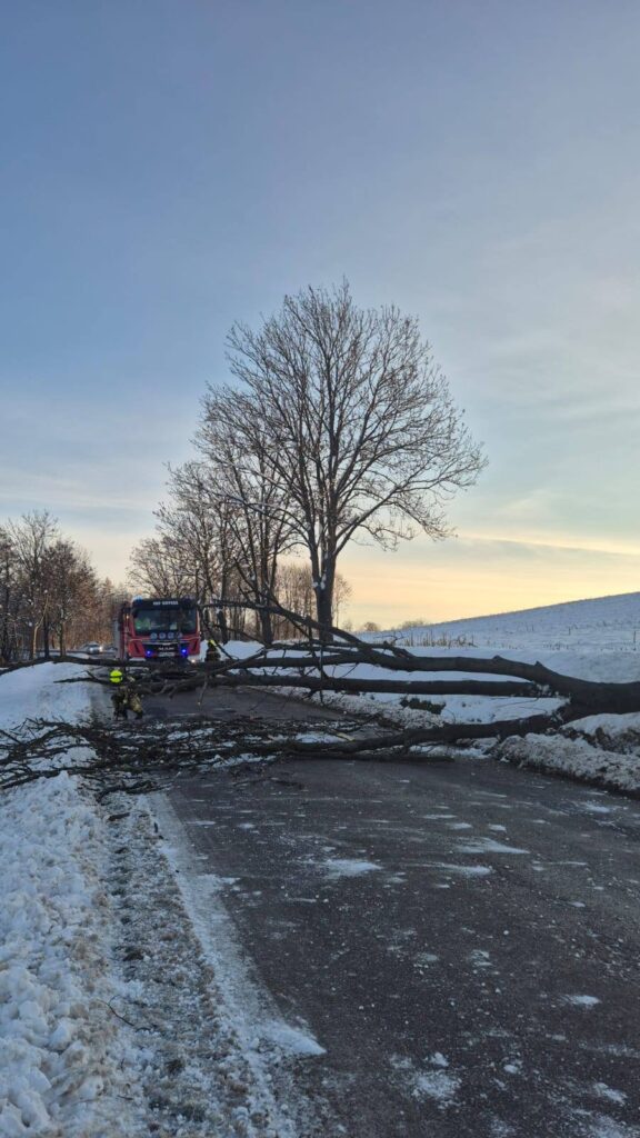 588572249 1162208756026029 615626807577420488 n