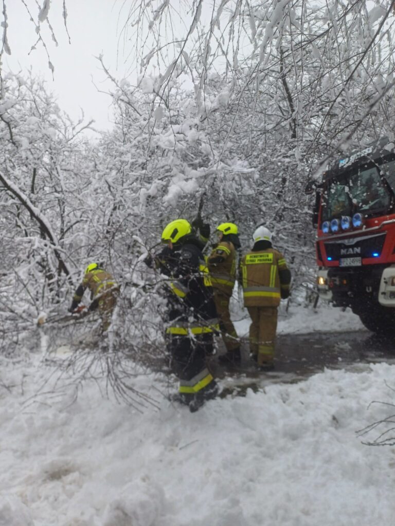 Sietesz. Niedziela pod znakiem interwencji. Kolejne drzewo runęło na drogę 2 588698392 1161319452781626 1666461977177505264 n